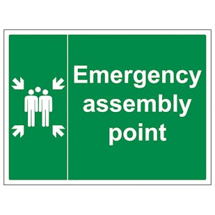 Emergency Point with Family - Large Landscape