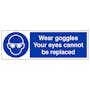 Wear Goggles Eyes Cannot Be Replaced - Landscape