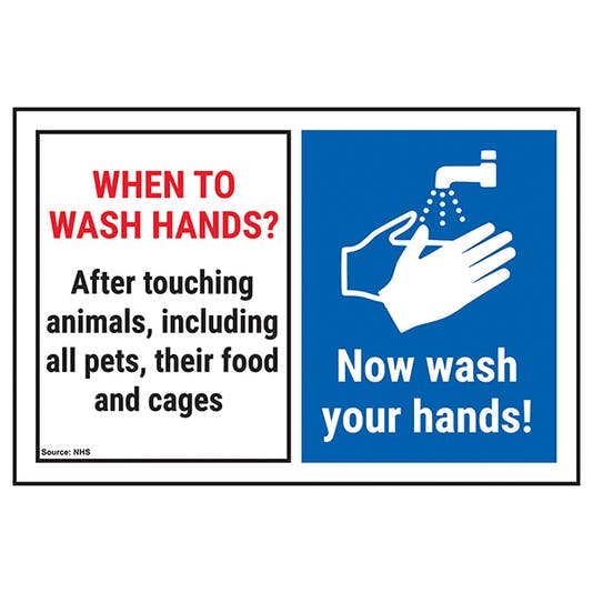 When To Wash Hands?/After Touching/Now Wash Hands! Hand Hygiene Signs