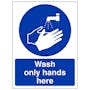 Wash Only Hands Here - Portrait