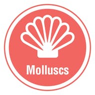 Molluscs Allergen - 25mm Stickers