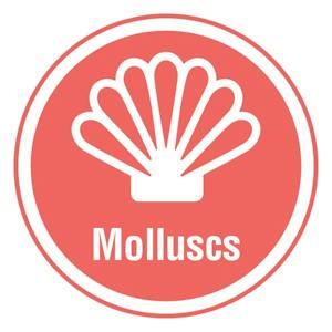 Molluscs Allergen - 25mm Stickers