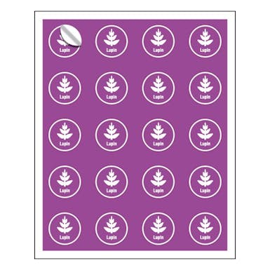 slider-image-1