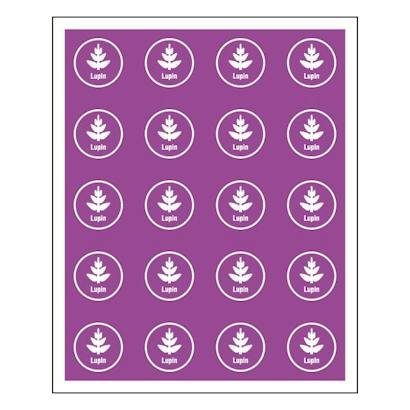 slider-image-2