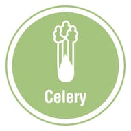 Celery Allergen - 25mm Stickers