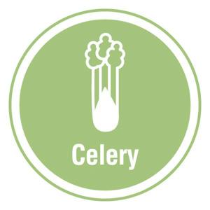 Celery Allergen - 25mm Stickers