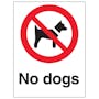 No Dogs - White Background