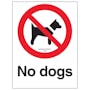 No Dogs - Maximum Penalty £500