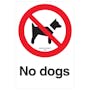 No Dogs - Maximum Penalty £500
