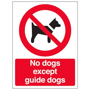 No Dogs Except Guide Dogs - Window Sticker