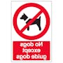 No Dogs Except Guide Dogs - Window Sticker