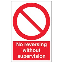No Reversing Without Supervision - Portrait
