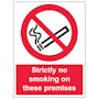 Strictly No Smoking On These Premises - Portrait