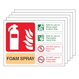 5PK - Foam Spray Fire Extinguisher - Landscape