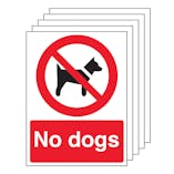 5PK - No Dogs - Red Background