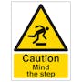 Caution Mind The Step - Portrait