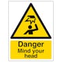 Danger Mind You Head - Portrait