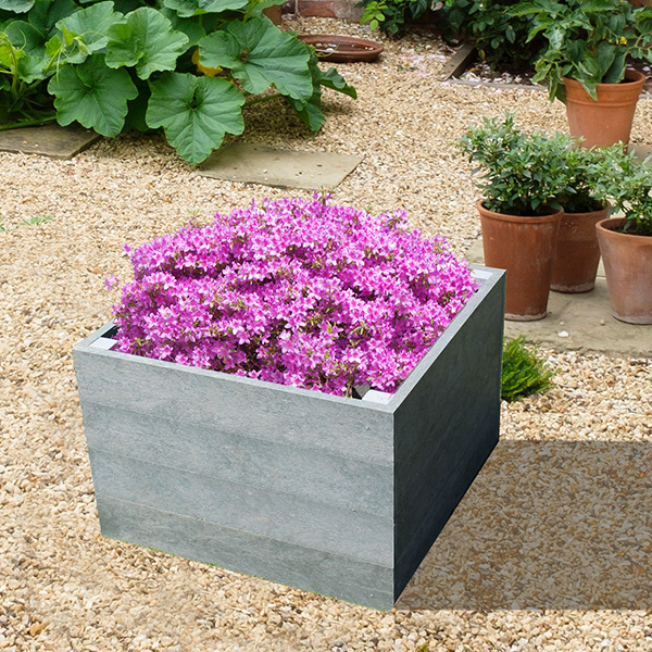 product-image-292153