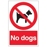 Dog Prohibition Signs