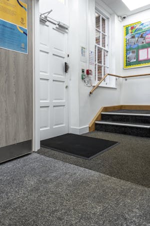 Sanibrush Mat