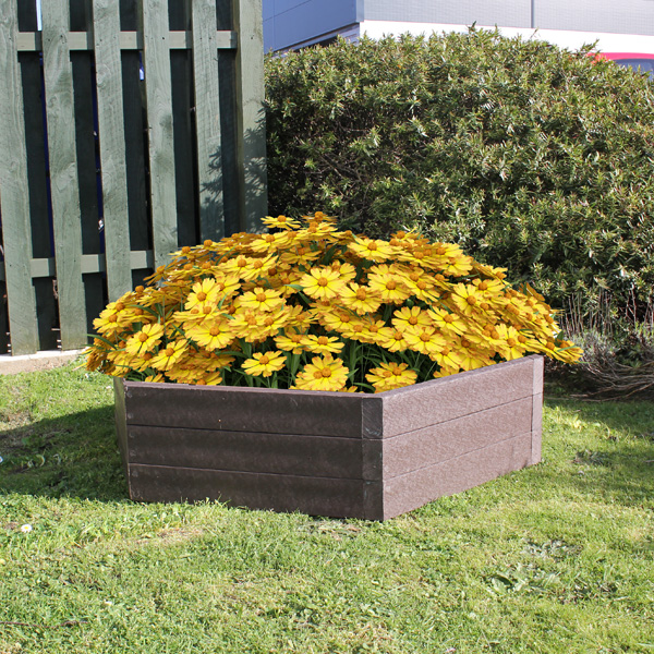 product-image-250781