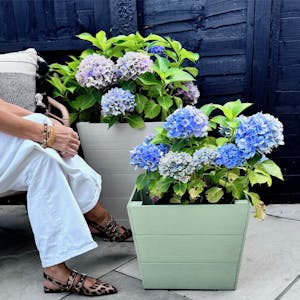 Winawood Planters