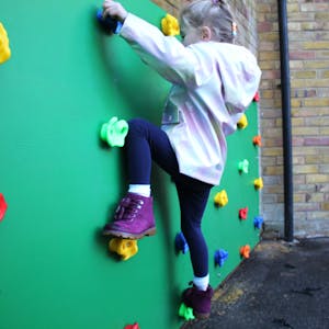 Wall Attached Climbing Boards