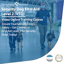 Security Dog First Aid Level 2 (VTQ)