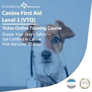 Canine First Aid Level 2 (VTQ)