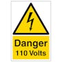 Danger 110 Volts - Portrait