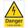 Danger Live Wires - Portrait
