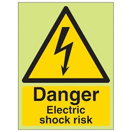 GITD Danger Electric Shock Risk - Portrait