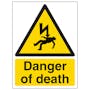 Danger Of Death - Portrait