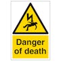 Danger Of Death - Portrait