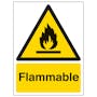 Flammable - Portrait