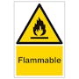 Flammable - Portrait