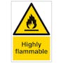 Highly Flammable - Portrait