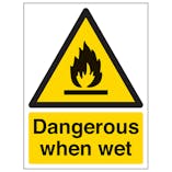 Dangerous When Wet - Portrait