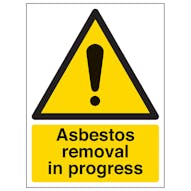 Asbestos Removal In Progress - Portrait