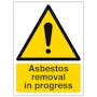 Asbestos Removal In Progress - Portrait