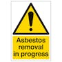 Asbestos Removal In Progress - Portrait