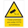 Protected By Video Surveillance - Portrait