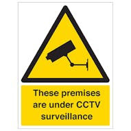 Protected By Video Surveillance - Portrait