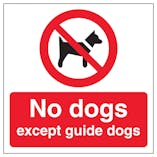 No Dogs Automatic Door