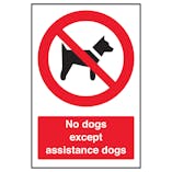 No Dogs Except Assistance Dogs