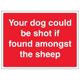 Your Dog Could Be Shot If Found Amongst The Sheep - Large Landscape