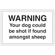 Warning Your Dog Could Be Shot If Found Amongst Sheep