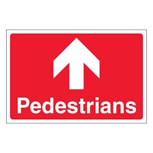Pedestrians - Large Landscape