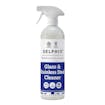 Delphis Eco Glass & Stainless Steel Cleaner