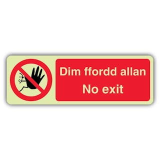 Photoluminescent Welsh/English - No Exit